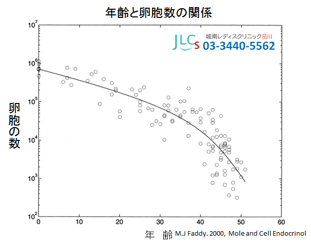 年齢と卵胞数の関係対数2